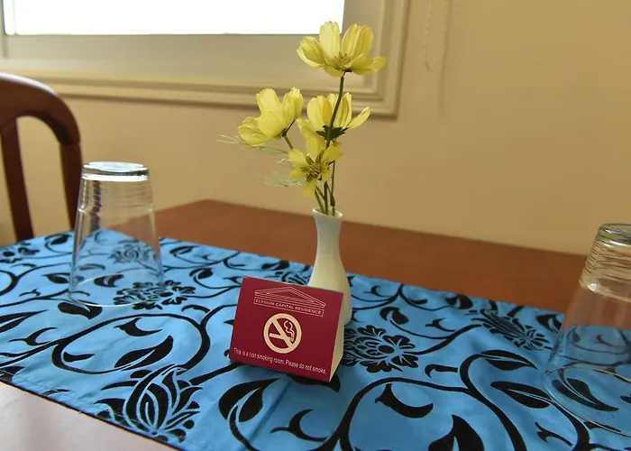 Elysium Capital ניקוסיה